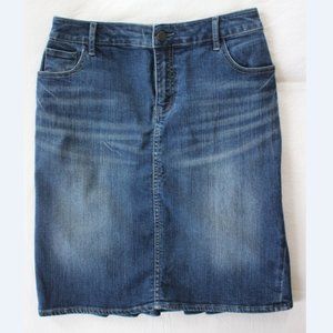 Pleated-Back Anthropologie Jean Skirt, size XS